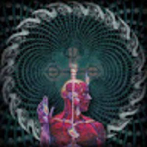 Meet your Posher, Hazel